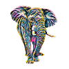 Elefant