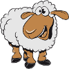 Sheep willow eat silly grass herd sues