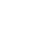 disco dancer