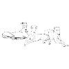 Three greyhounds