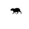 Capybara et Lune TEA