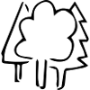 Mischwald,Wald,Natur,Baum,Landschaft,Grün,Umwelt