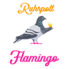 Ruhrpott Flamingo Pigeon