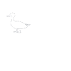 Ente Wurzel