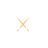 Drums cat