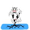 Vache sur la glace