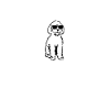 Bernedoodle