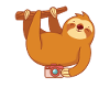 Sloth photographer