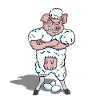 Egg-laying woolly milk pig