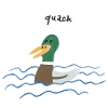 The Duck