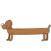 Joyeux long teckel