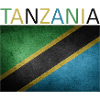 Tanzania Flag - Art Design