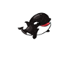Orcas Schwertwale