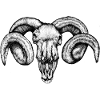 ram