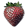 Erdbeere
