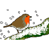 Robin winter snow pixel