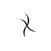 Orion