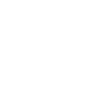 Surveyor surveyor