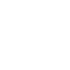 Mindset Coach