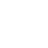 Vize Präsident Bose