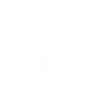 Neural Network Trainer
