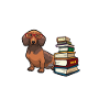 Dachshund