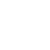 Dinosaures dinosaures