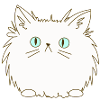 Persian Cat Cat