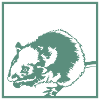 rat