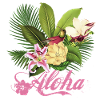 Aloha