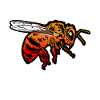 bees