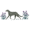 Deerhound and thistles