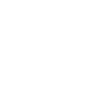 Chien de berger islandais