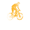 VTT