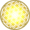 flower of Life