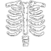 Bone Skeleton Halloween Costume
