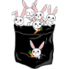 Rabbit bunny pet rabbits gift