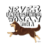 porokoiraunderestimate3