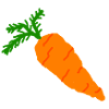 carrot