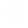 Wolf Mandala