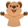 Cute Quokka Hug