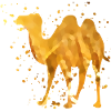 Beautiful camel