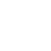 ICON Germany