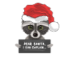 Santa Claus raccoon criminal