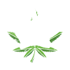 420 hemp plant
