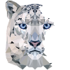 Split Leopard Snow