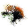 Red panda bear