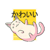 Chat kawaii