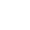 Irish Setter