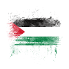 Palestine Strong Distressed Graffiti Flag